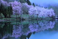 白馬村・大町市