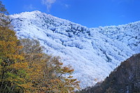 高山村-145