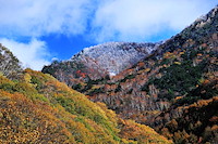 高山村-155