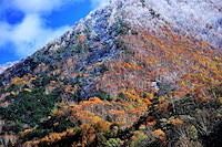 高山村-156