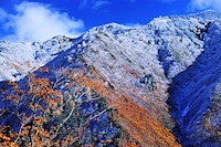 高山村-163