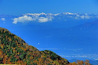 高山村-184