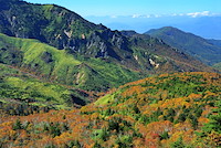 高山村-187