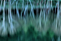 志賀・渋峠・山田峠