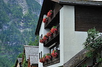 ハルシュタット-008