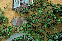 ハルシュタット-012