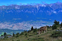 インスブルック-007