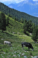 インスブルック-026