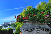 ザルツブルク-025