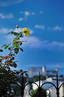 ザルツブルク-027