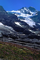 アイガートレイル-002