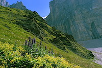 アイガートレイル-004