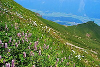 ロートホルン-011