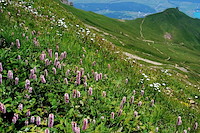 ロートホルン-012