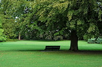 フォンテーヌブロー-004