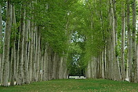 ベルサイユ宮殿-003